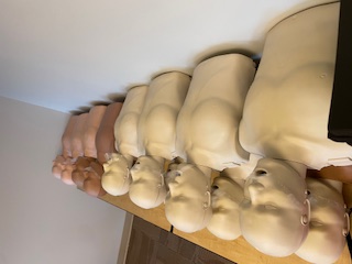 Row of adult manikins